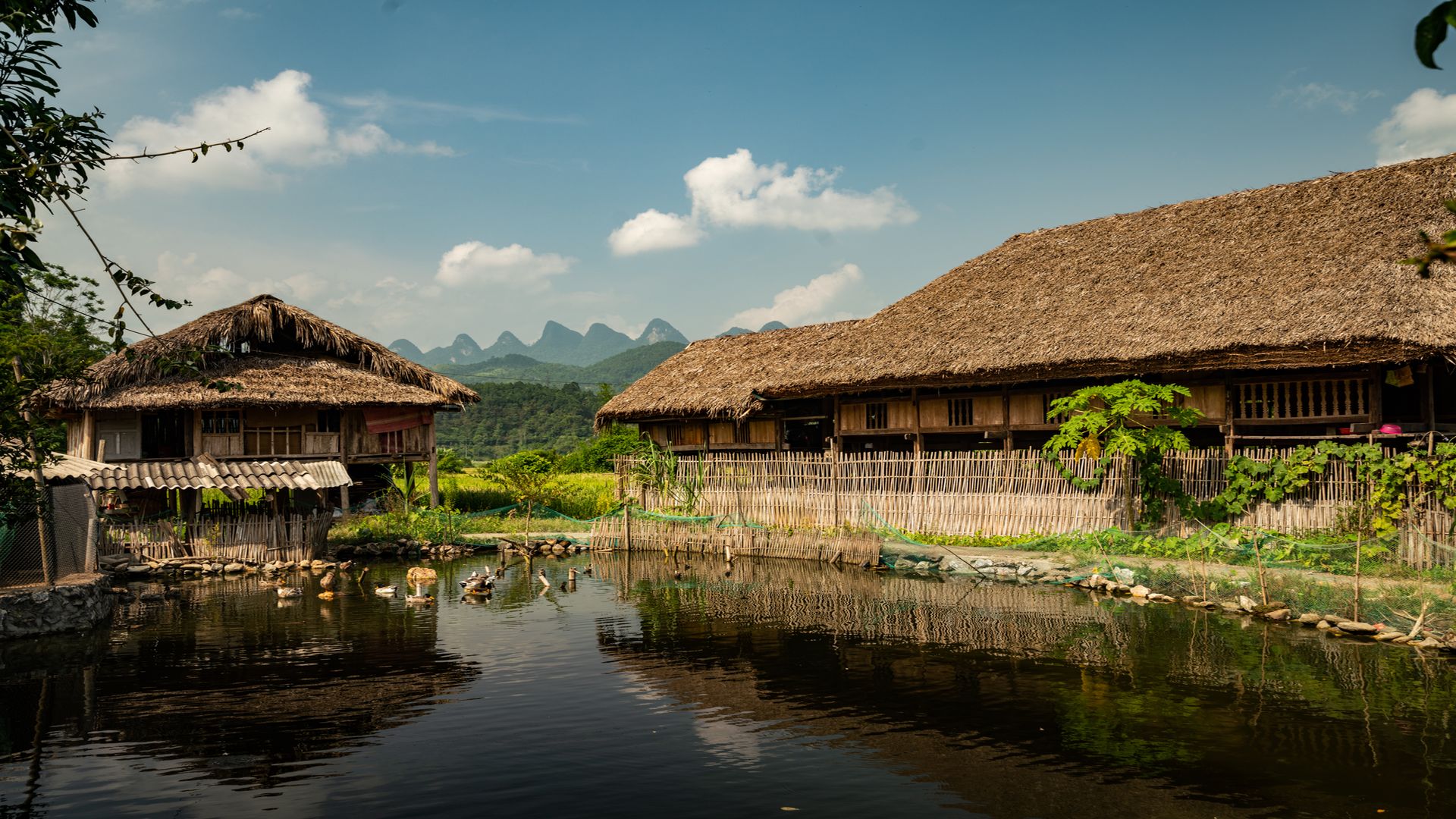 Chúng ta nghèo như thế nào!