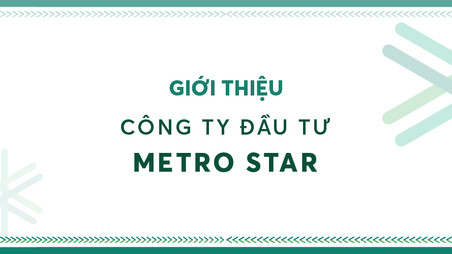 Giới thiệu Công ty Đầu tư Metro Star