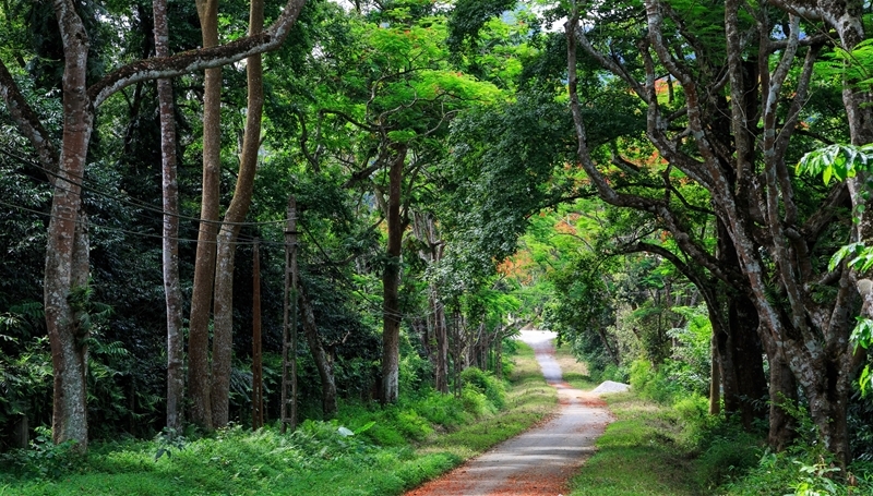 Tinh Hoa Ngũ Điển - Kim Định